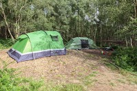 Eco Camp UK   Beech Estate Woodland Campsite 1096831 Image 4